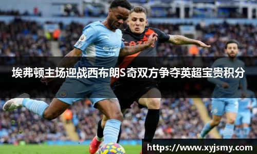 埃弗顿主场迎战西布朗S奇双方争夺英超宝贵积分